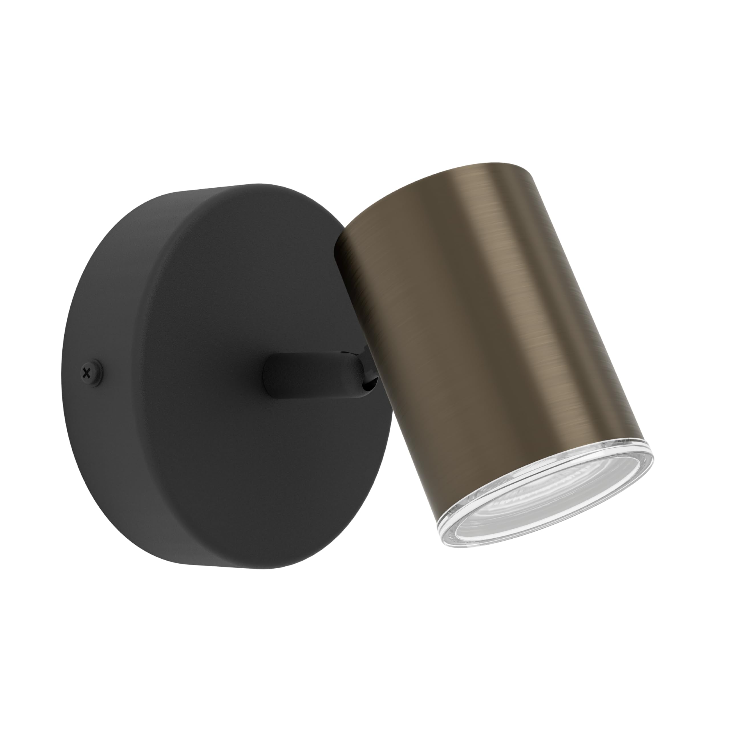 Eglo Black/Bronze Consuma 1 Ip44 Single Spotlight In And