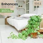 ROVALA Plantes artificielles en pot - Pending Realistic Faux Pothos pour décoration maison, Salon intérieur, Plateau de la chambre - Petite soie décorative