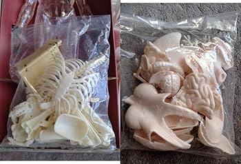 Amazon.co.jp: 当時物 1959年 昭和レトロ 米国製 Renwal