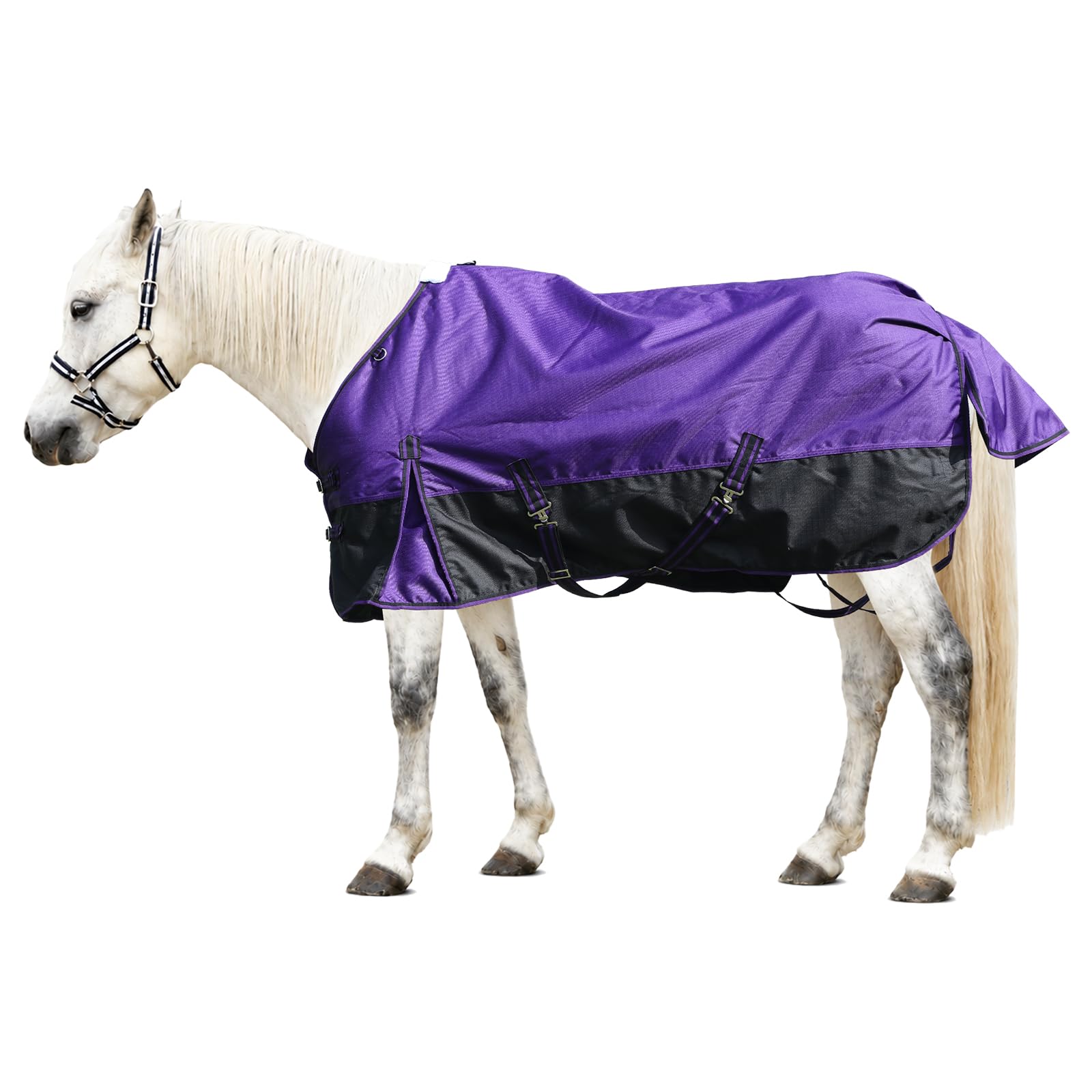 1200D Horse Blanket, 0g No-Fill Waterproof Turnout Rain Sheet