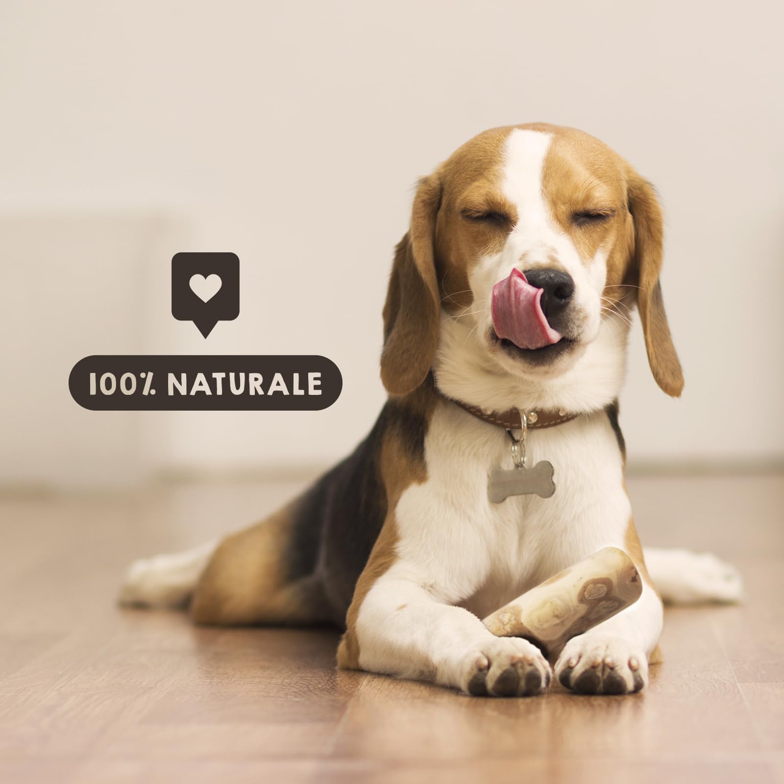 MAIKAI Confezione da 2 Legno di Caffè per Cani Taglia L – Masticativi Naturali e Sicuri – Alternativa all’Osso – Anti-Tartaro e Anti-Stress – Giocattolo da Masticare - Regali per Cani