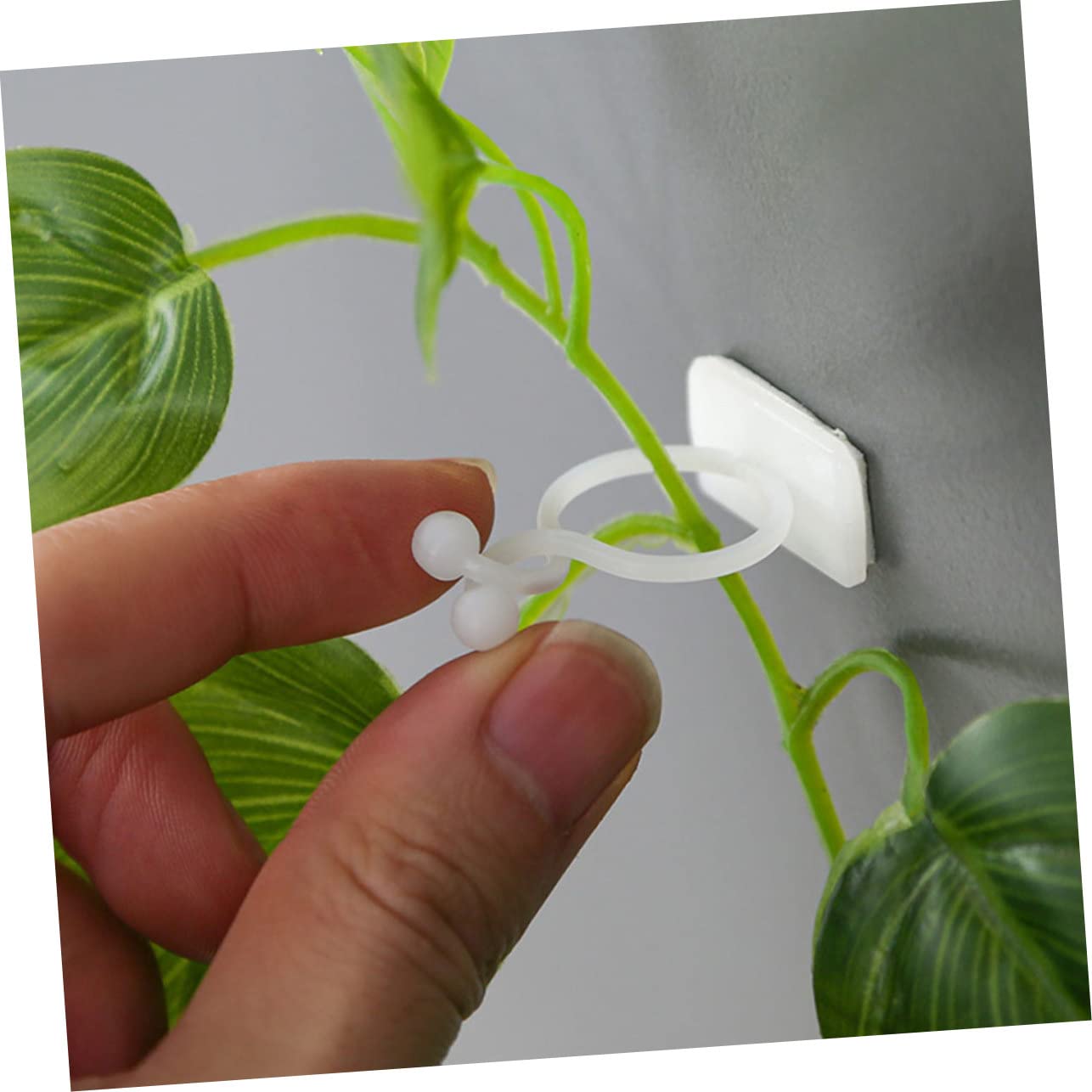 BESTonZON 5 Sätze Pflanzenstützclips Für Kletterpflanzen Wandaufhänger Für Monstera Und Andere Pflanzen Wiederverwendbare Clips Zur Fixierung Von Ranken Für Glatte Wände Und 100 Stück * 5