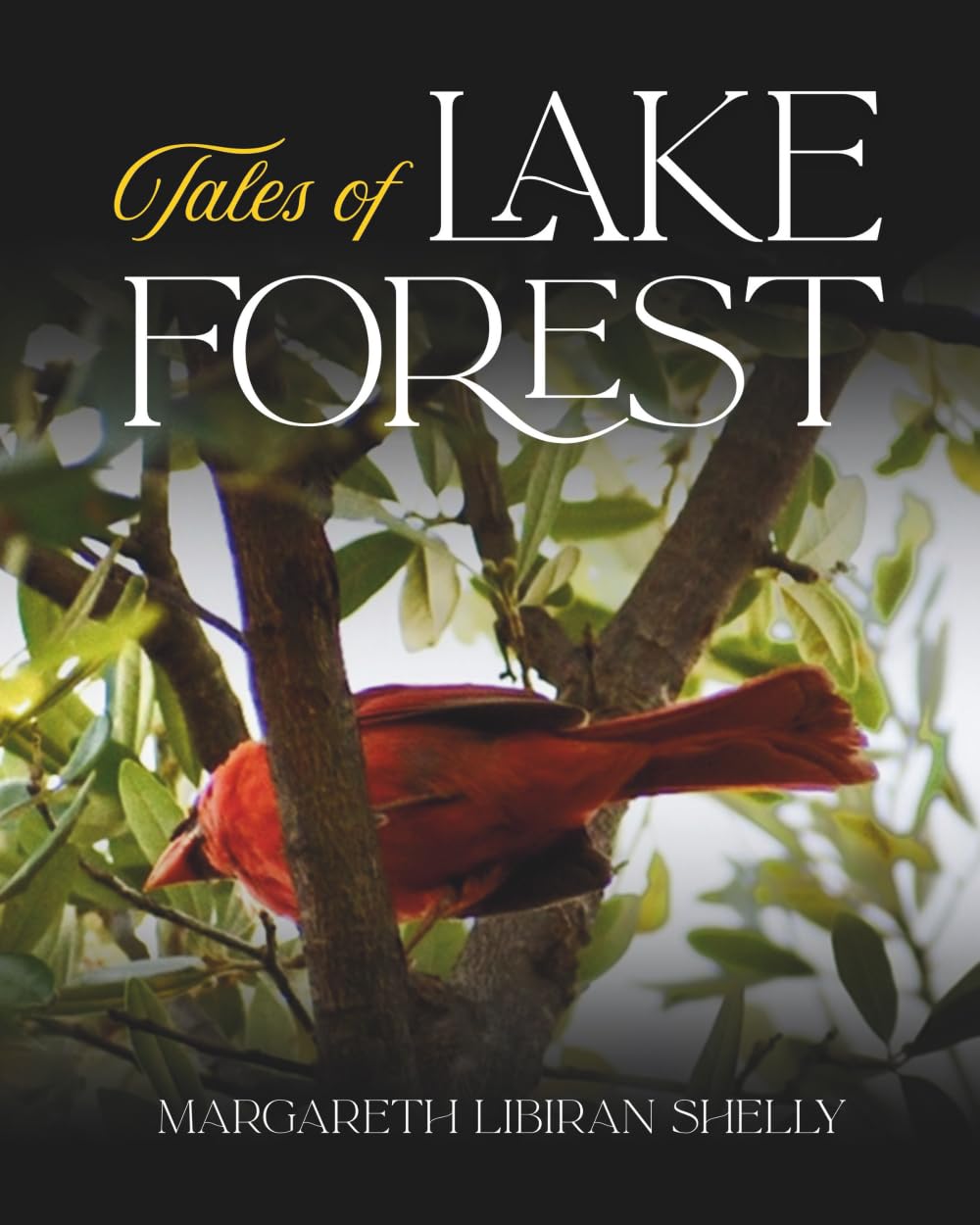 Tales of Lake Forest