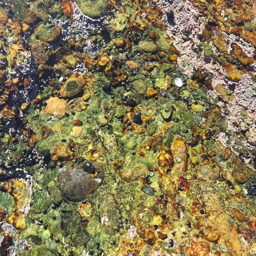 Episode 388 (ft: Derrick Beattie) Podcast Por  arte de portada