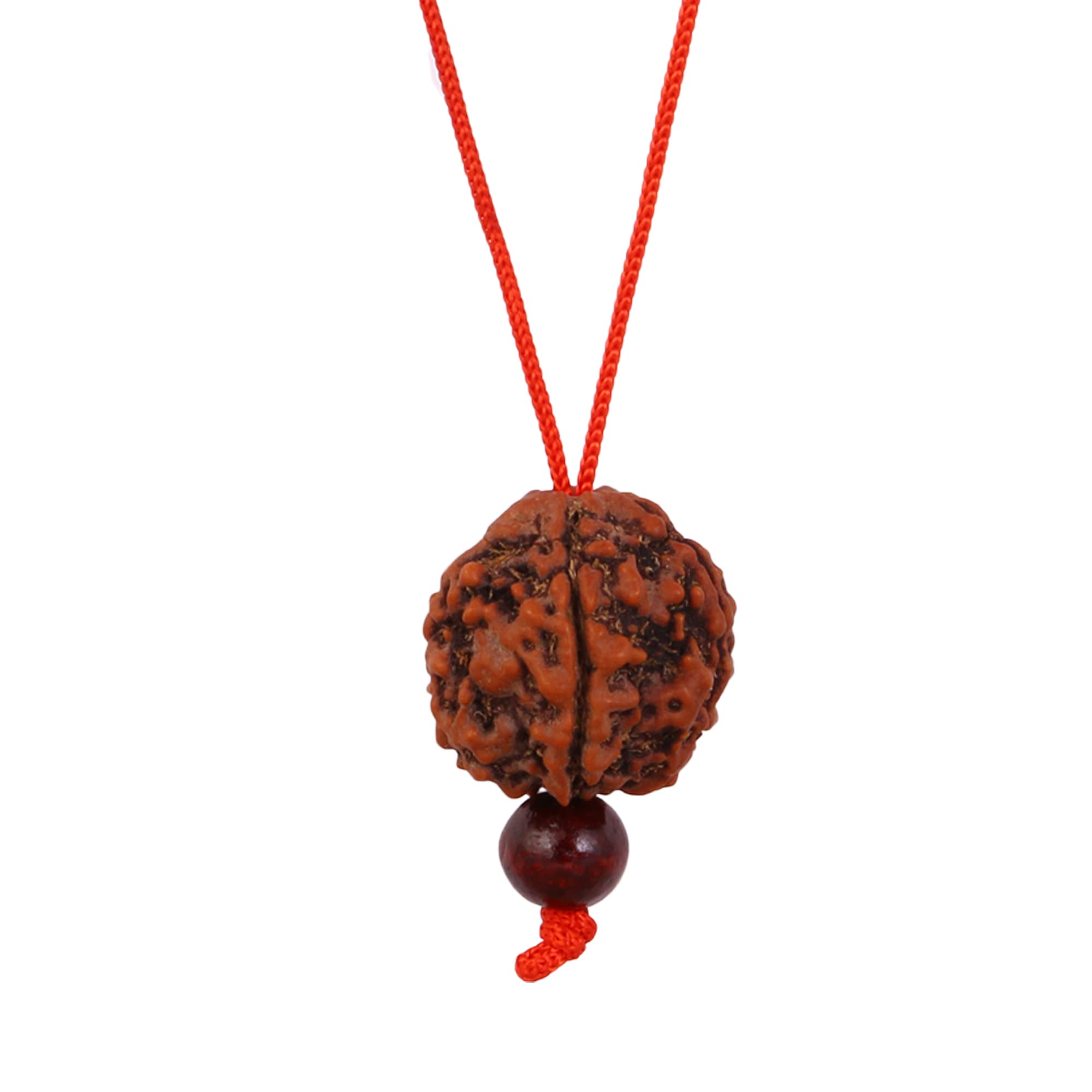 Certified Nepali 5 Mukhi Rudraksha in Red Thread Lal Dhaga Pendant Locket | Original Five Face Rudraksh Natural 5 faced Rudraksha (Brown) for Men Women Boys and Girls-image-48