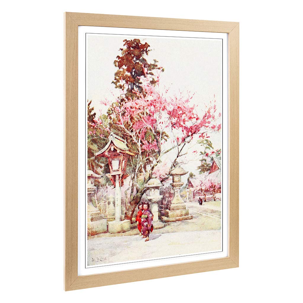 Big Box Art Framed Print of Ella Du Cane Japanese Oriental Plum Blossoms & Lanterns Design | Wall Art Picture| Home Decor for Living Room, Bedroom, Office, Oak, A2 / 24.5x18 Inch / 62x45cm
