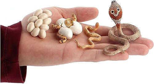 Miniatura 3 de Montessori - Figuras de insectos de animales para el ciclo de vida, juguetes de aprendizaje y educación, juguetes de insectos de plástico para