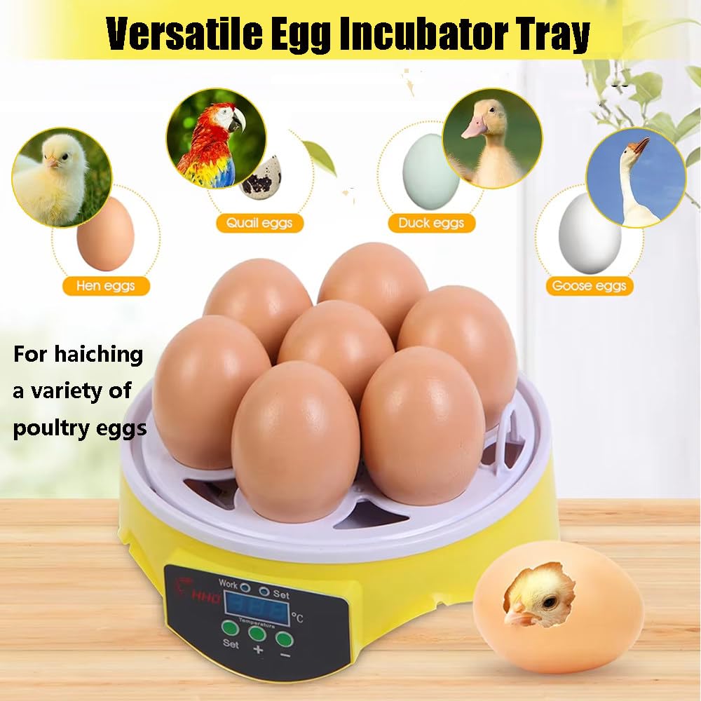 Incubatrici Per Uova Da Cova, Incubatrice Per 7 Uova, Incubatrice Per Uova Con Controllo Manuale Della Temperatura E Dell'Umidità, Per Polli, Anatre, Oche, Quaglie
