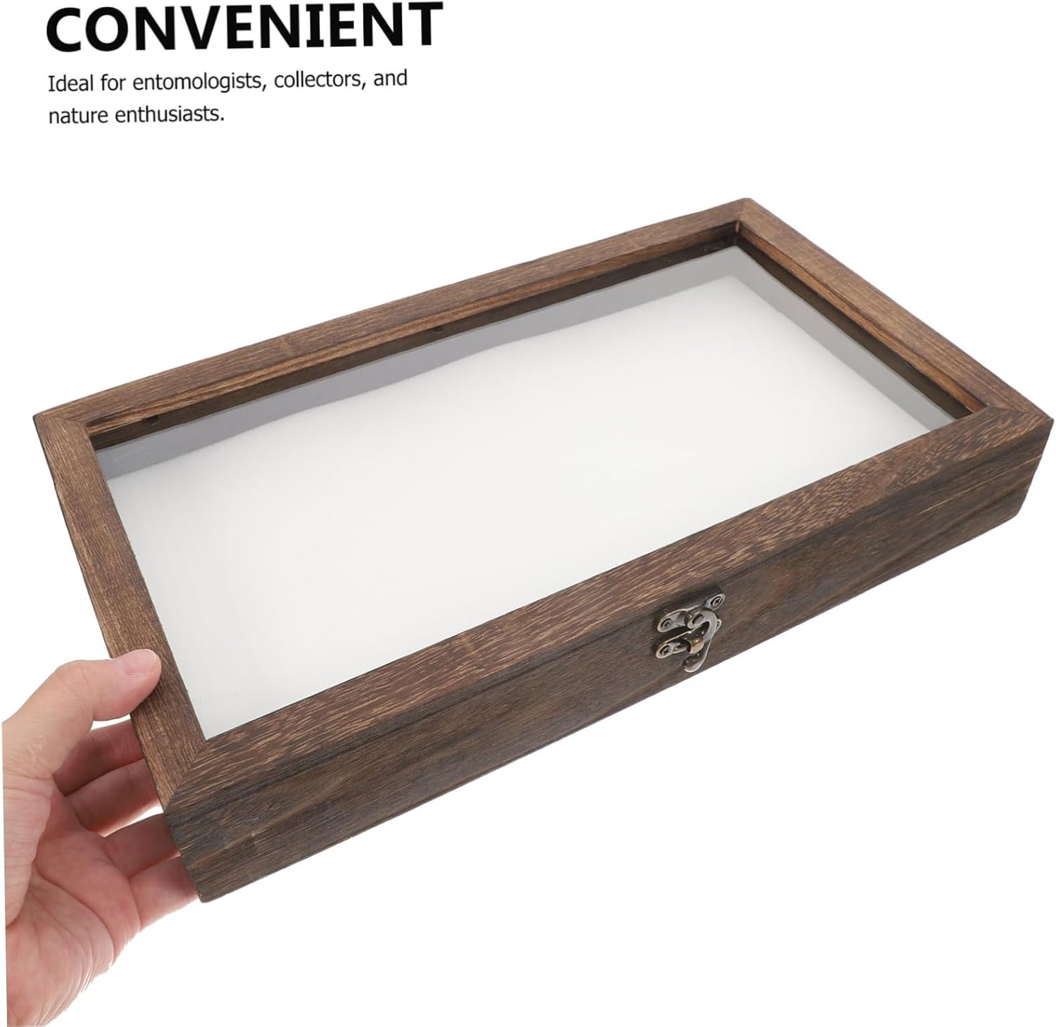 Butterfly Specimen Storage Case Wooden Insect Display Box with Shadow Box for Collectibles Elegant Jewelry Display and Storage Tray for Schools and Museums