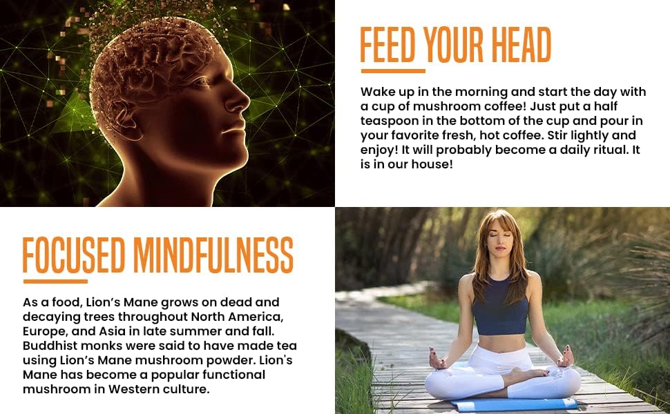 Ellie's Best Lions Mane Mushroom Extract Powder Supplement Organic 114 Servings - Double Extracted for Highest Potency - Dissolves in Coffee, Tea, Juice etc.4oz - Image 3