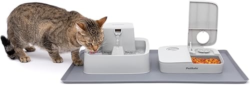 PetSafe Tapete para fuente y alimentador, para perros y gatos, mantel individual de silicona para alimentos y agua, 26 x 16 pulgadas, impermeable,