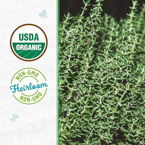 Back to The Roots 100% Organic Seed Packet - Thyme 'English' 70mg - Image 2
