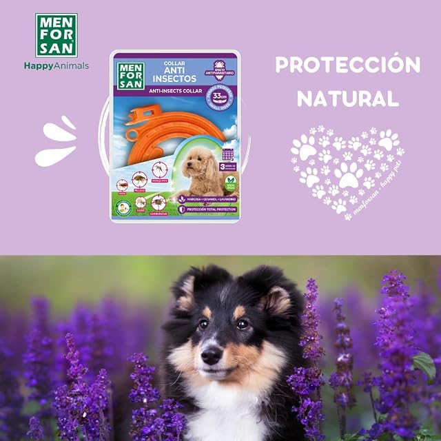 Foto 8 de 8 de MENFORSAN Collar Anti-Insectos para Perros pequeños, con Margosa, Geraniol y Lavandino, 33 centimetros