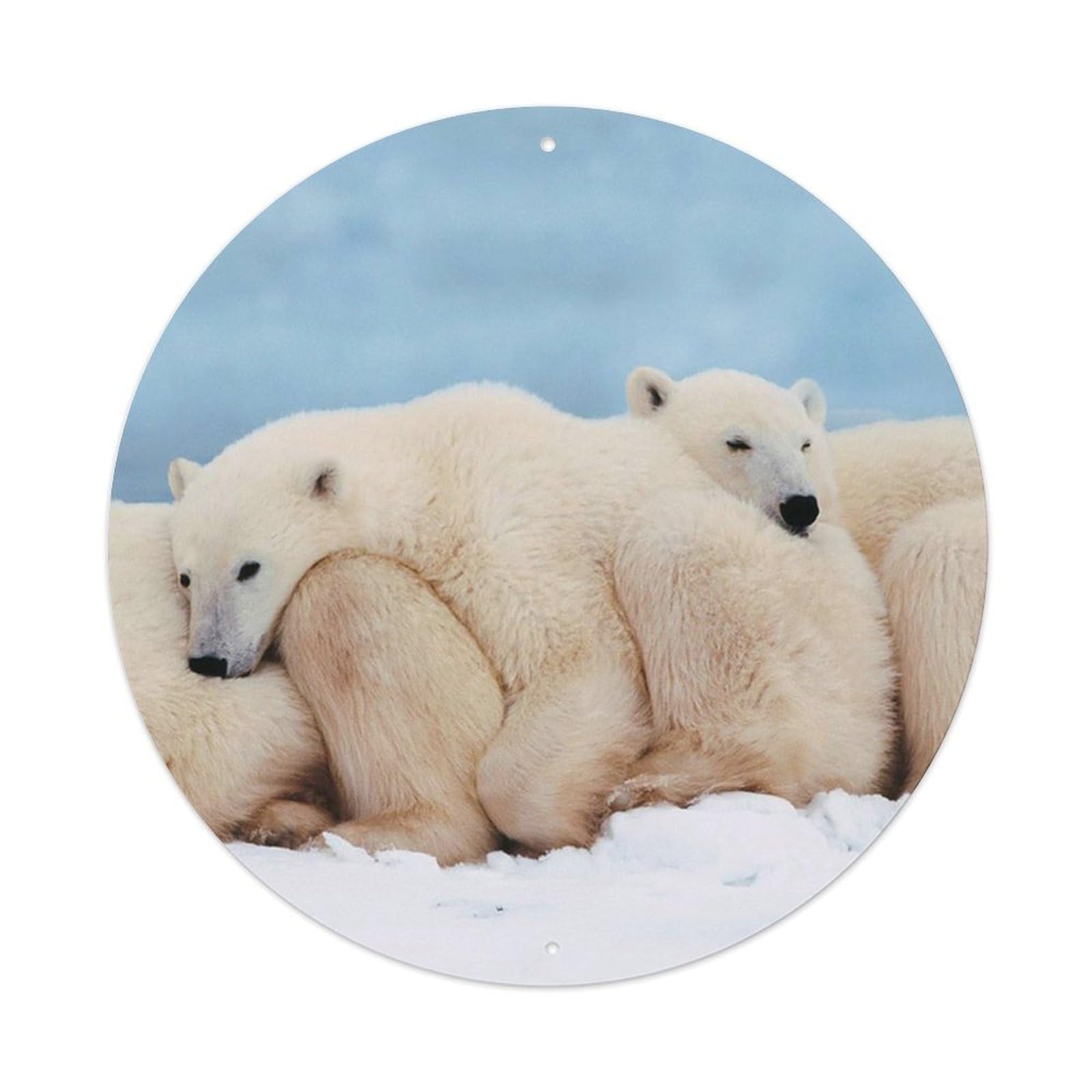 Polar Bear Arctic Wildlife Winter Nature Classic Metal Tin Sign