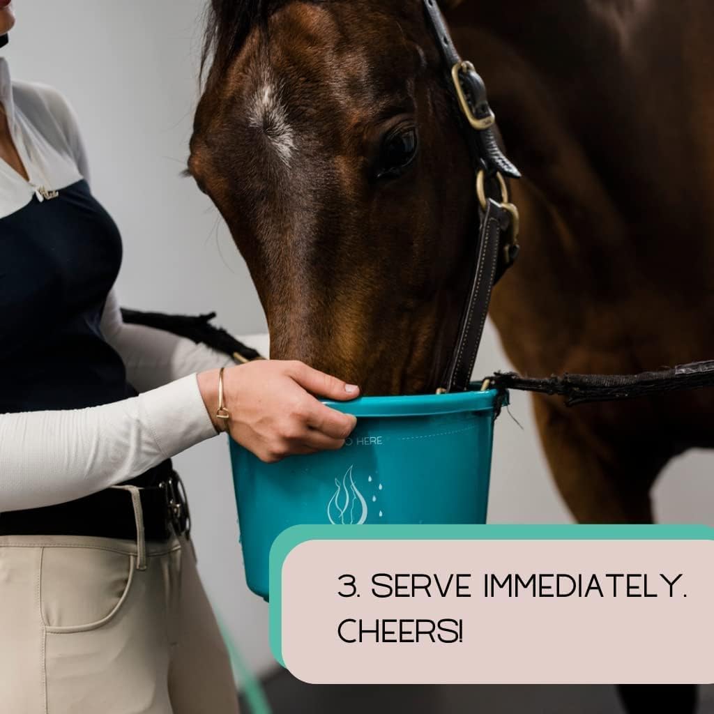 Gallagher's Water Paquete de 12 golosinas de hidratación equina Totalmente Naturales – Mezcla de Polvo de Mejora para Bebida de Caballo para Ayudar a fomentar el Consumo de Agua – Fabricado con