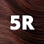 5R Light Copper Chestnut