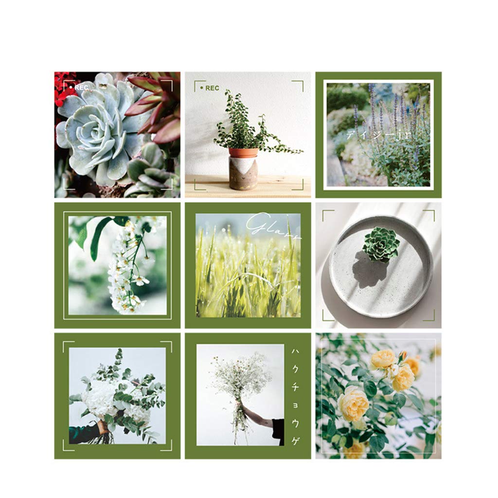 Buy EWAT 9Pack Flowers Wall Collage Kit Aesthetic Pictures, Bedroom