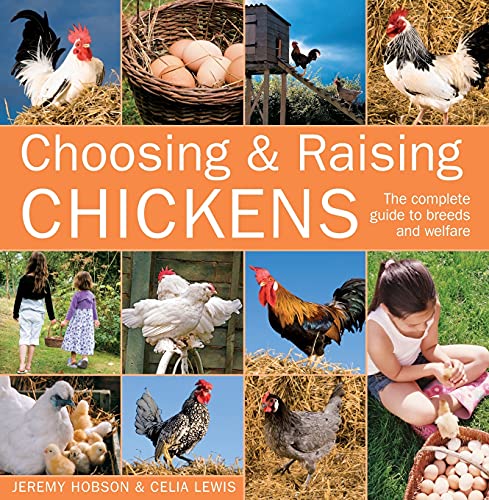 Choosing & Raising Chickens: The Complete Guide to Breeds and