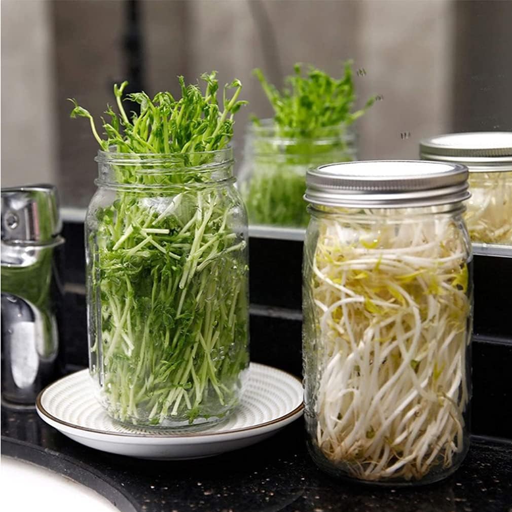 Buy Sprouting Kit, 2 Sprouting Jar Kit, Wide Mouth Quart Mason Jars