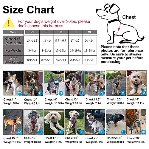 Matilor Dog Harness Step-In Breathable Puppy Cat Dog Vest Harnesses For Small Medium Dogs Blue Plaid #TOP6