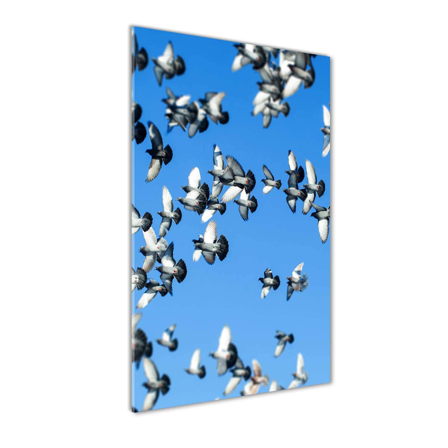 Tableaux pour la mur acrylique 50x100 Tulup pour illuminer une pièce sombre