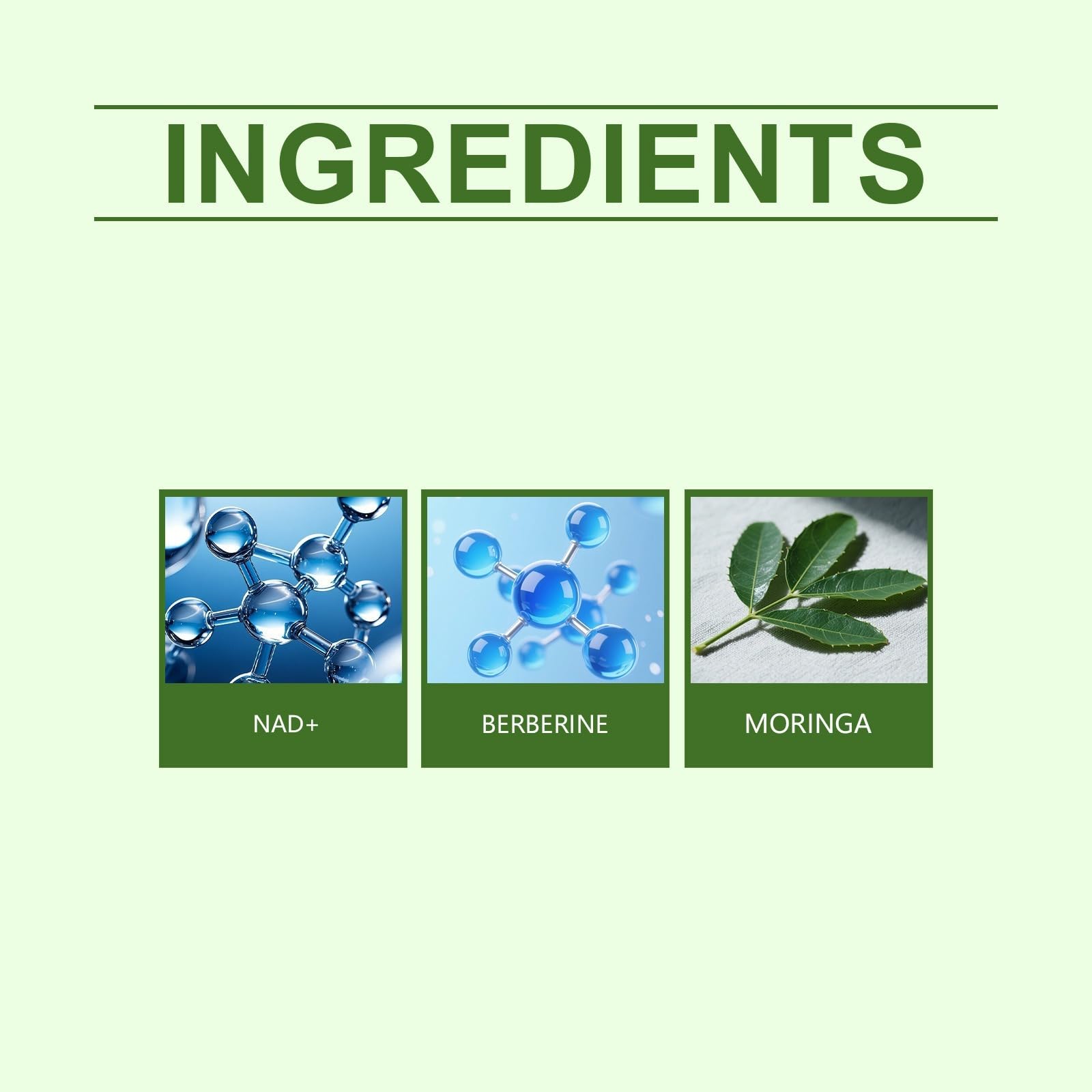 Plaster Moringa x Berberine 10 w 1, plaster odchudzający Nano Microneedle, skóra Naturalne składniki, ujędrniający, łatwy w aplikacji, niewidoczny pod ubraniem, idealny dla mężczyzn i kobiet