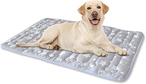 Dog Mat, Soft Bed Mat with Cute Prints, Anti-Slip Bottom Dog Mat for Medium Large Dogs (22" X 35"). Machine Washable Pet Mattress for Dog Sleeping