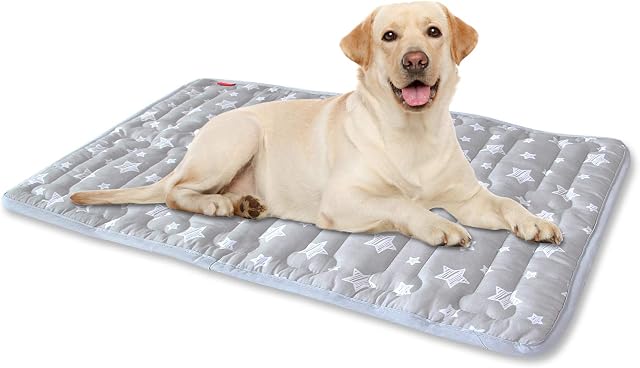 Dog Mat, Soft Bed Mat with Cute Prints, Anti-Slip Bottom Dog Mat for Medium Large Dogs (22" X 35"). Machine Washable Pet Mattress for Dog Sleeping