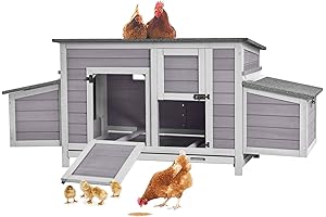 Spacious Hen House with Nesting Box for Poultry Comfort