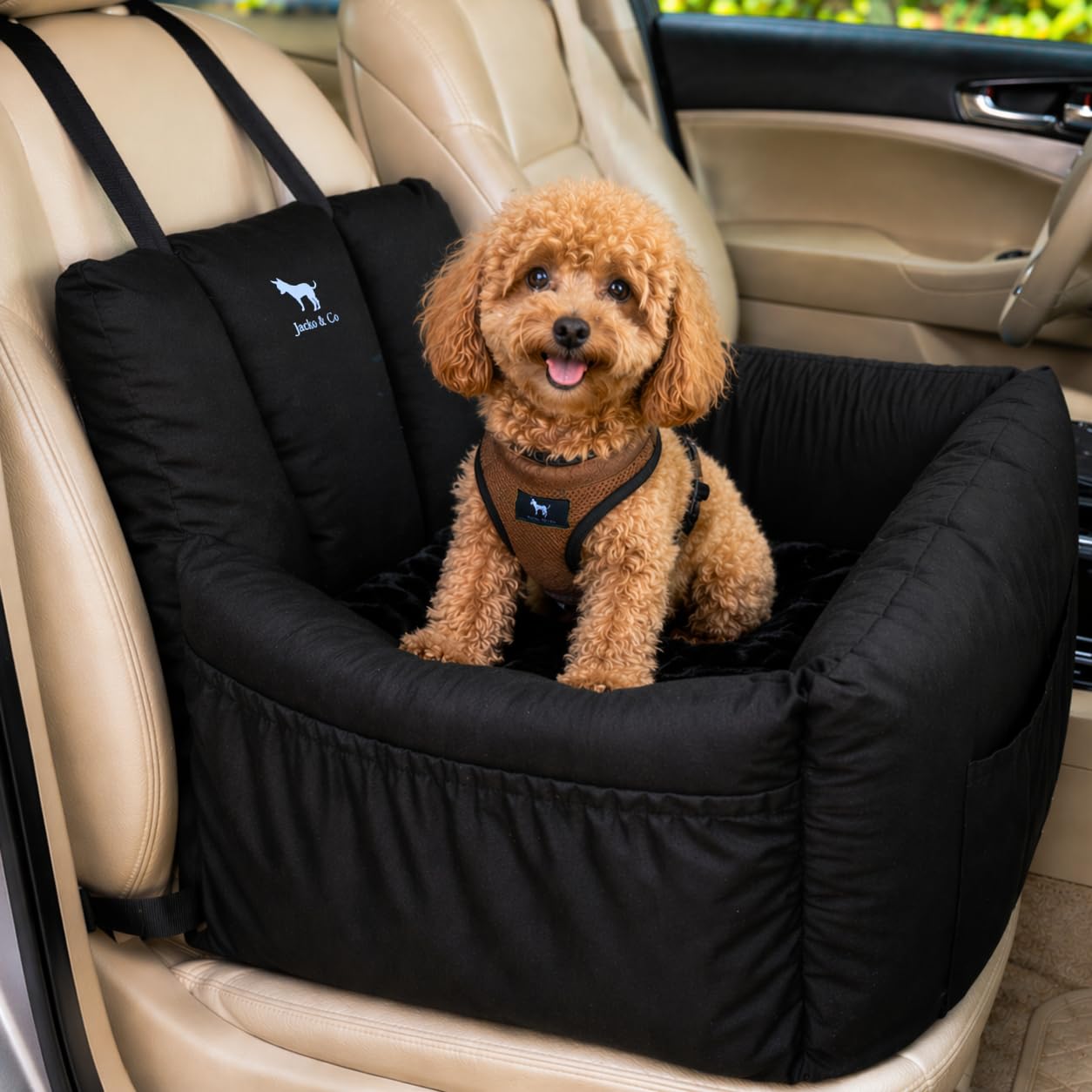 JACKO & CO - Premium Dog Booster Car Seat for Pets for Small & Medium Pets Under 30lbs - Machine Washable w Removable Cover, Water Resistant w Clip-On Leash for Front or Back Seat (Black, Small)