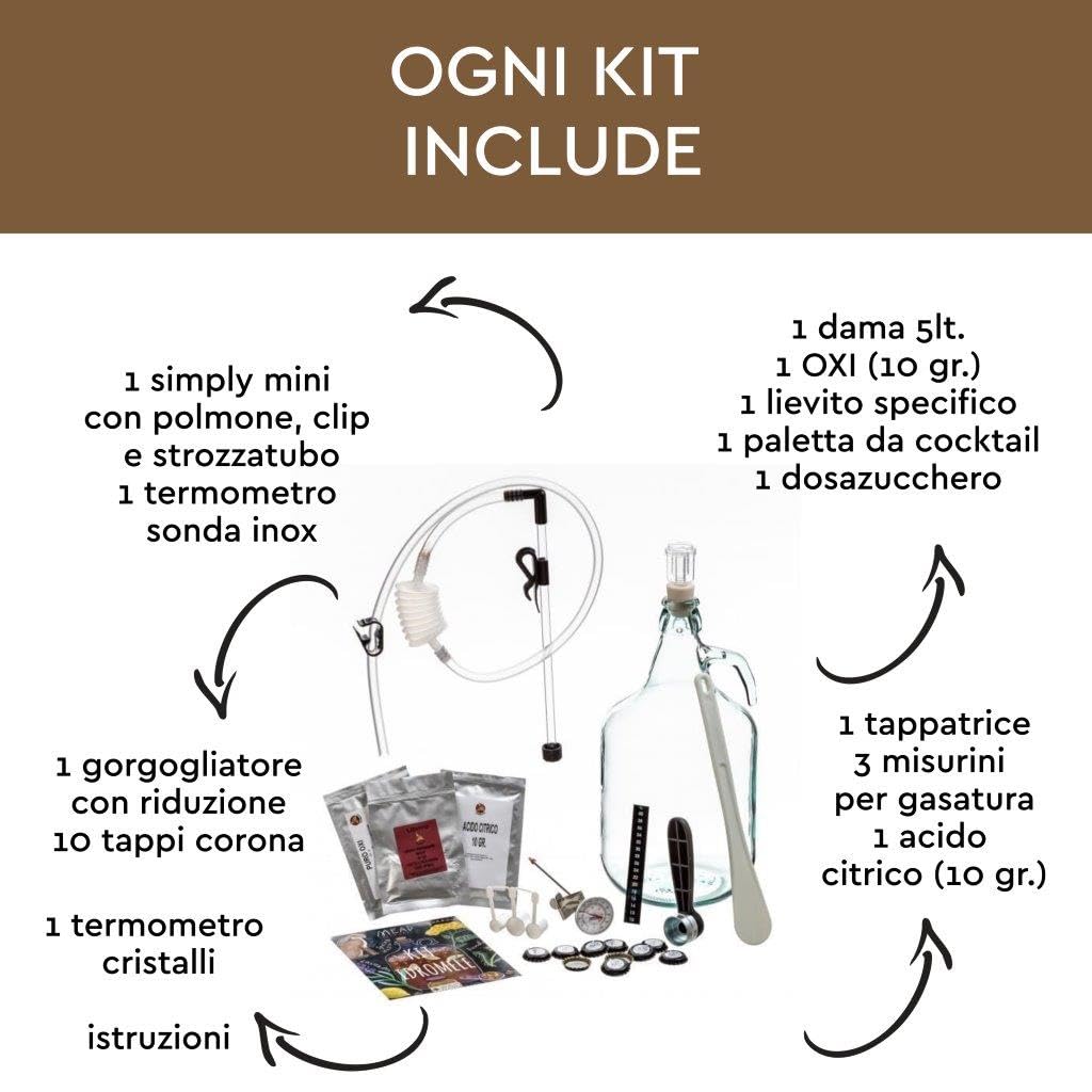 Beer & Wine - Kit Fermentazione Sidro e Idromele Fatto in Casa - Kit per Produzione di Sidro e Idromele - Kit Riutilizzabile - Idea Regalo (Kit Idromele con Dama 5l)