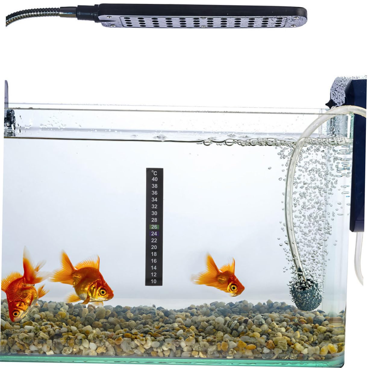 HANABASS 12pièces Thermomètre Adhésif Pour Aquarium Bande De Température Digitale Pour Poissons Autocollants Pratiques Et Colorés Pour Contrôle Température Votre Réservoir