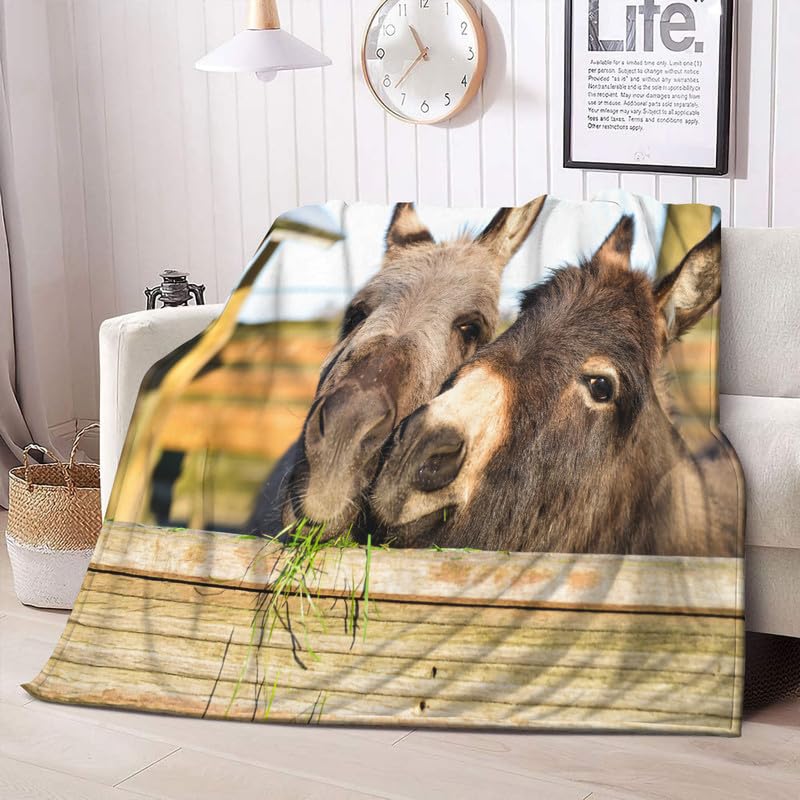 Decke Sofa Esel Kuscheldecke Flauschig 150x200 cm - Weich und Warme Fleecedecke für Bett Couch - Wohndecke als Couchdecke Bettüberwurf Tagesdecke Campingdecke Tier