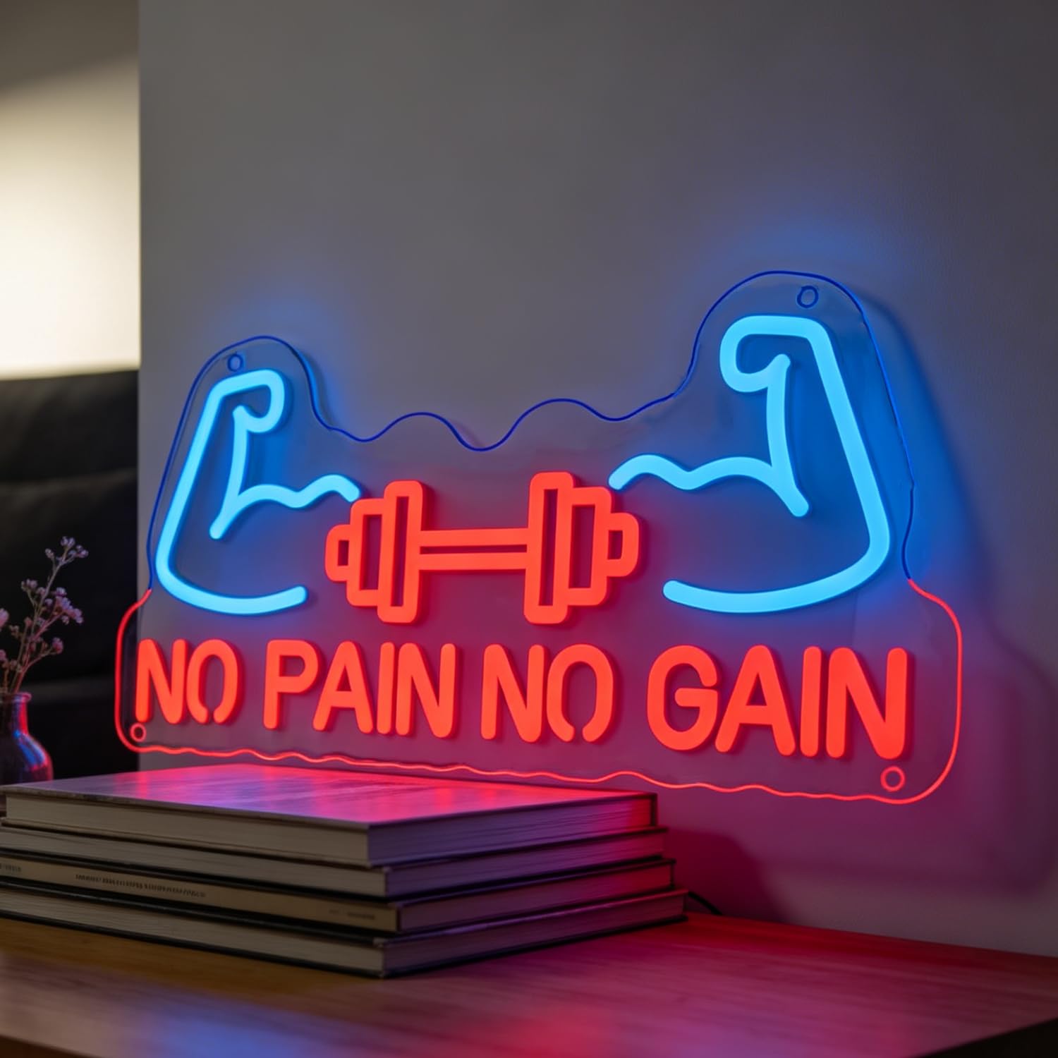 No Pain No Gain Neon Sign LED Neon Gym Sign Light Up for Wall Decor, Dimmable USB Powered Neon Light for Gym Fitness Club Store Bodybuilding Competition Decoration