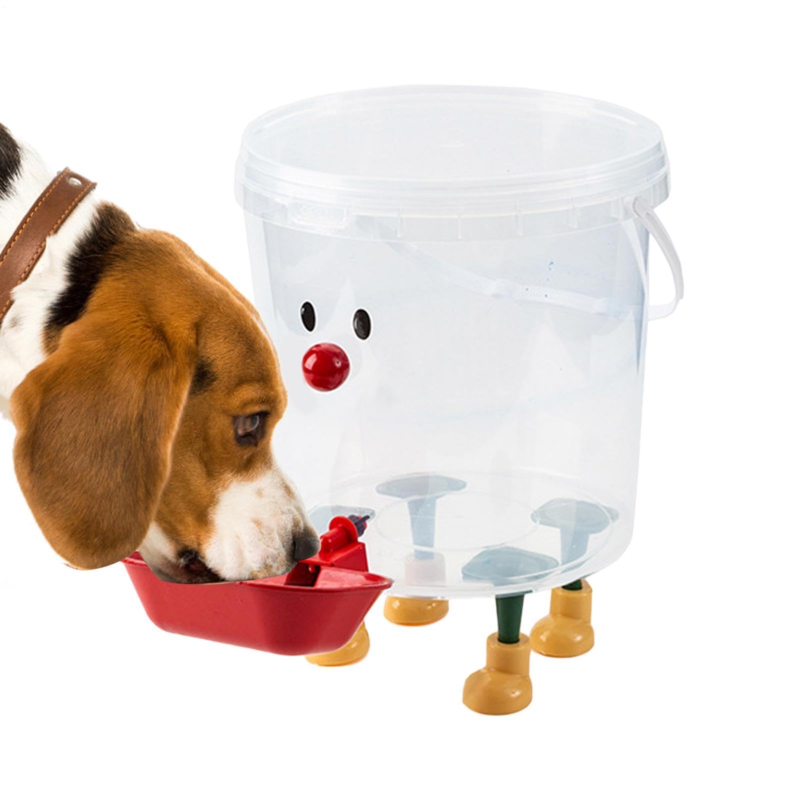 Dispensador de agua para perros higiénico para uso en refugio y hogar