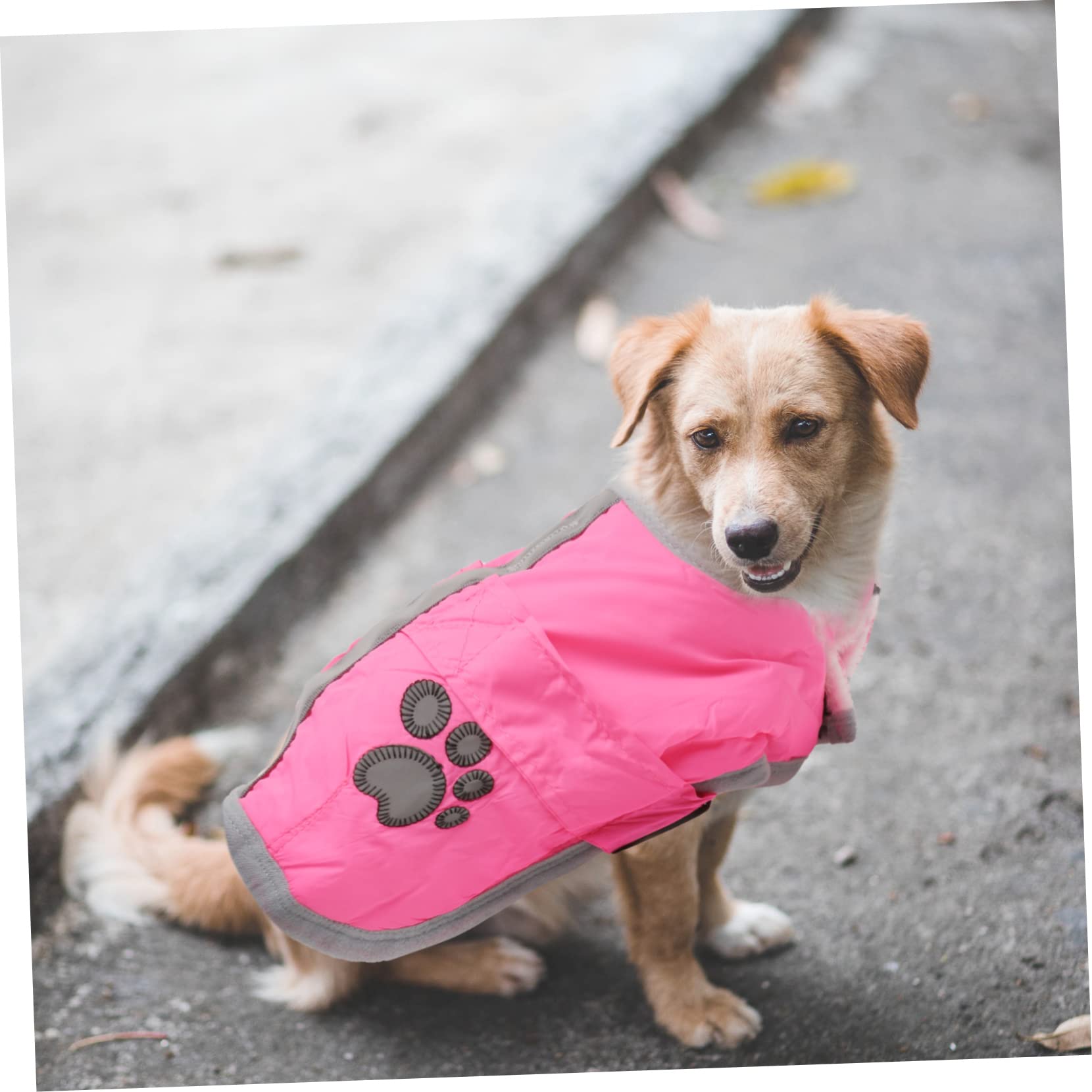 Housoutil 2 Stücke Reflektierende Wärme Hund Mantel Loft Reversible Fleece Weste Für/mittelgroße/große Hunde Größe L Gemütliche