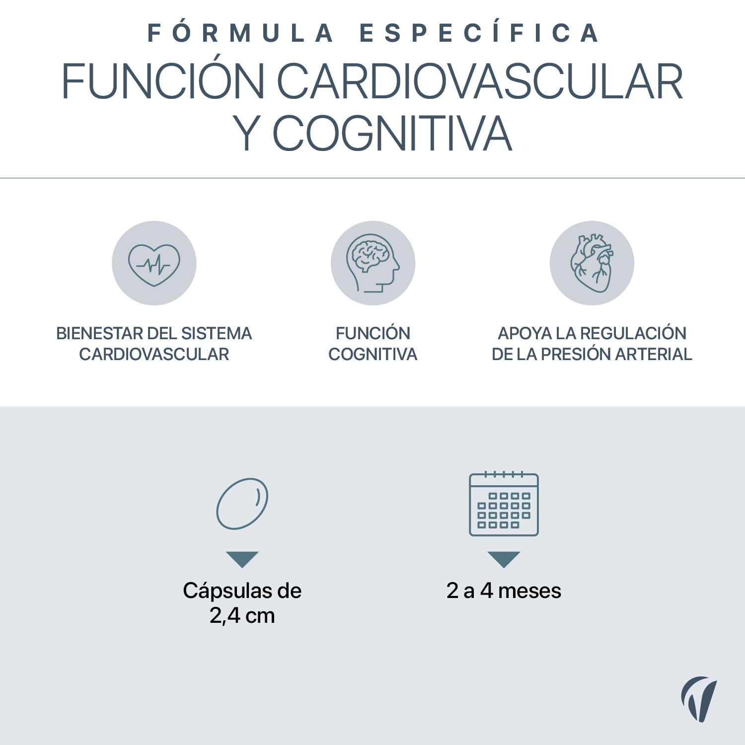 Omega 3 2000 mg Aceite de Pescado Puro – 120 Cápsulas (4 Meses) – 1000 mg EPA + 500 mg DHA – Alta Concentración – Salud Cardiovascular, Cerebral y Visual – Vitavea — view 3