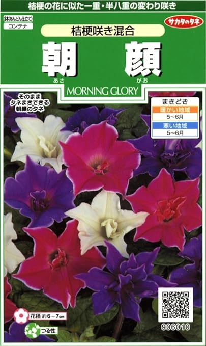 Amazon サカタのタネ 実咲花6010 朝顔 桔梗咲き混合 花