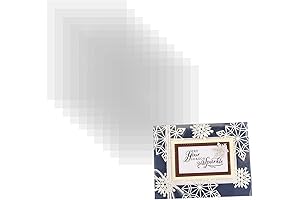 10 Heat Resistant Acetate Sheets for Shaker Card-Making