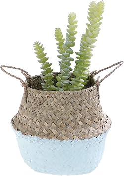 Woven Seagrass Belly Baskets with Handles for Planter Storage Flower Pot Cover Organizer&Laundry,Picnic Fruit&Grocery Baskets,Foldable Handmade Wicker Rattan Basket Hanging Decorative Baskets