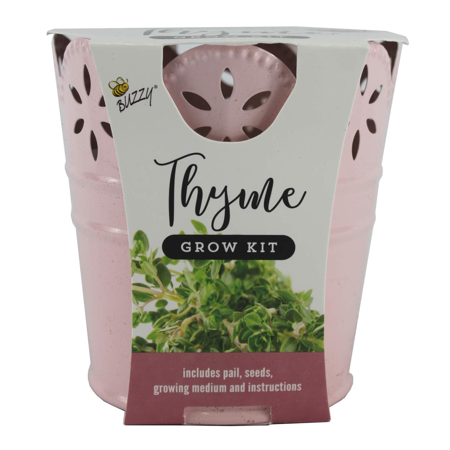 Buzzy Thyme Grow Kit