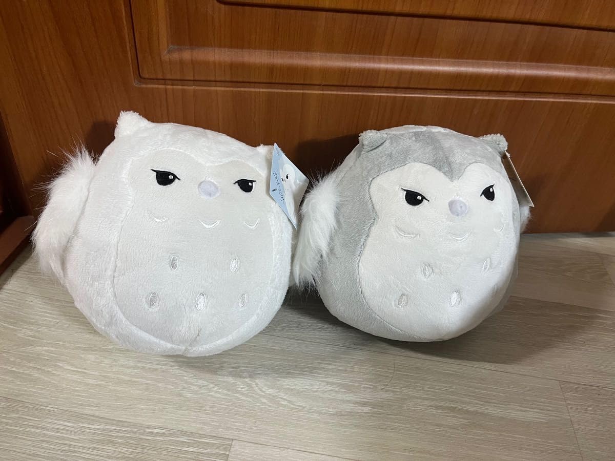 Amazon.co.jp: パク ボゴム 韓国 ドラマ ボーイフレンド Amazon.co.jp: パク ボゴム 韓国 ドラマ ボーイフレンド