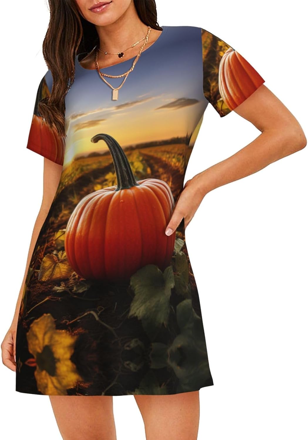 Thanksgiving Day Punmpkin Print Sleep Shirts for Women Short Sleeve Night Shirts for Sleeping Pullover Nightgown