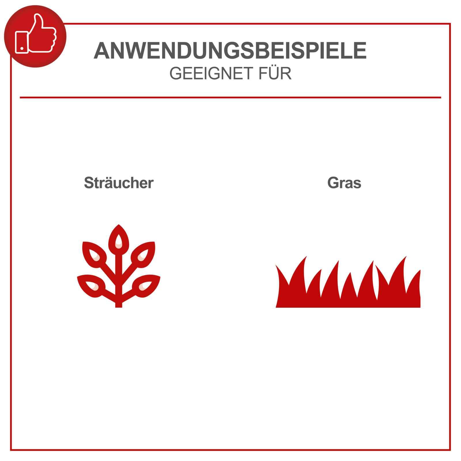 Scheppach Gartenschere 2in1 Akku 3,6V Grasschere Strauchschere Rasenschere CGS-15-Li | Grasmesser 80mm Breite | Strauchmesser 120mm Länge - 8mm Schnittstärke | Ladegerät, Strauch- & Grasmesser