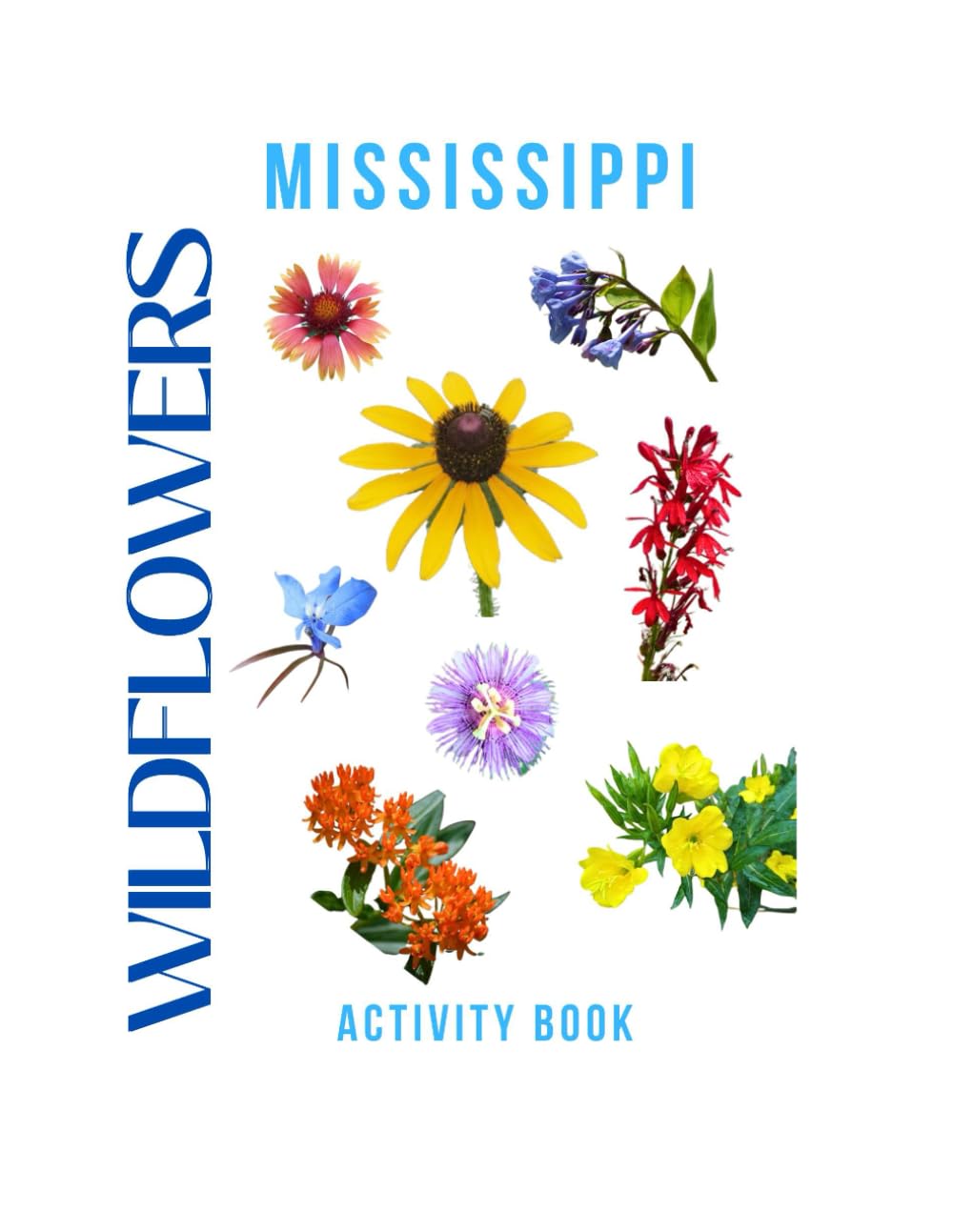 Wildflowers of Mississippi Activity Book: A Young Explorer's Field Guide to Discovering the Native Blooms of Mississippi (Mississippi Nature Explorer Series)