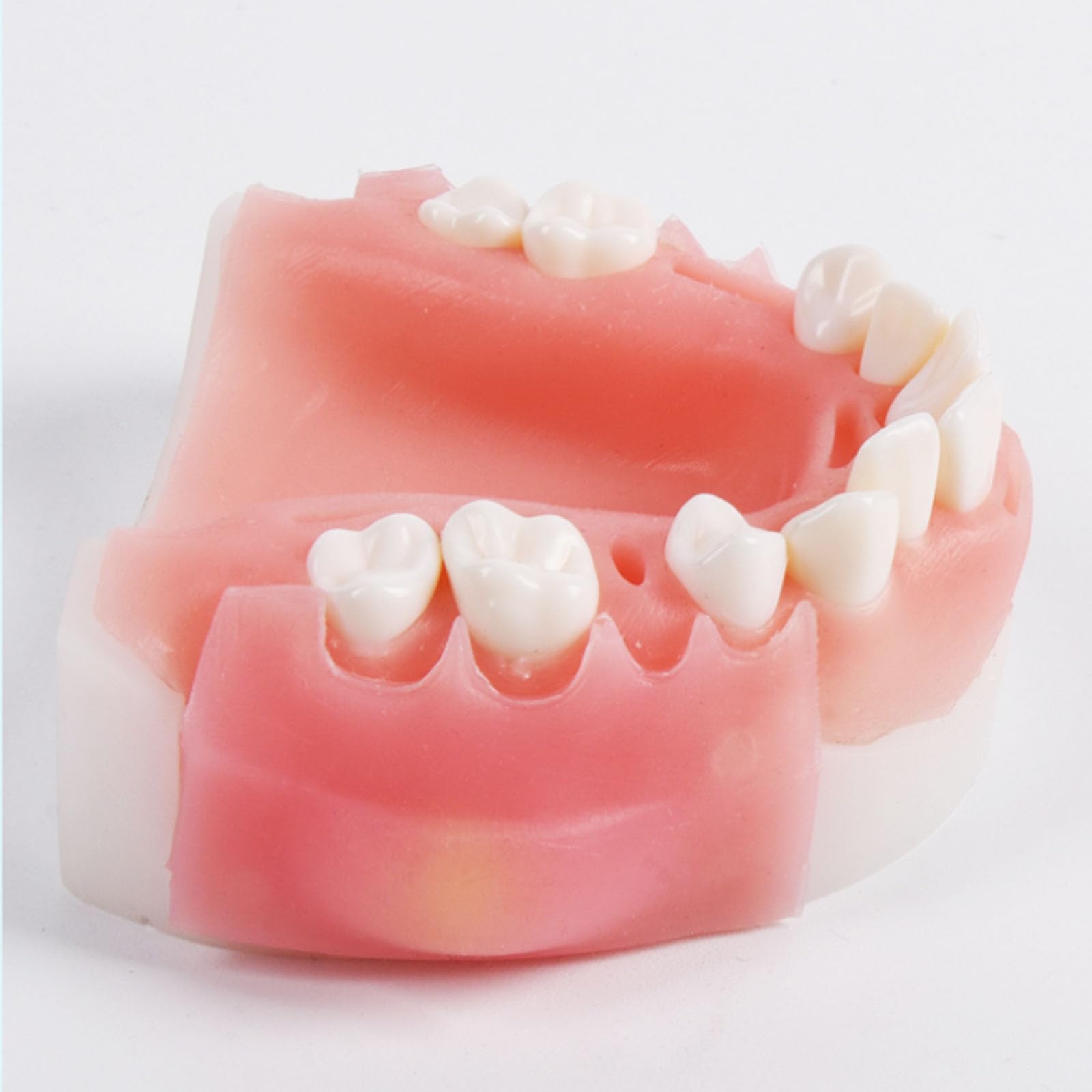 Modello di Simulazione di addestramento Orale Dentale Modello di Simulazione parodontale Strumento di Formazione per competenze mediche,Upper jaw-8cm