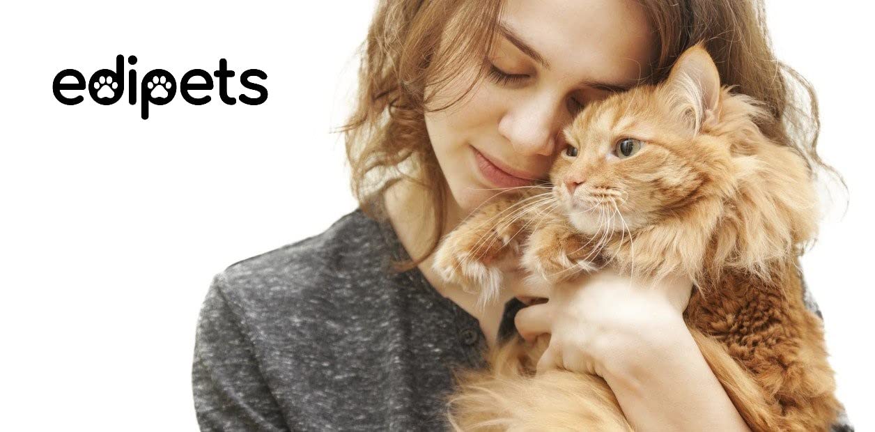 Edipets, Ciotole per Gatti Rialzate, Ciotola Gatto, Acqua e Cibo, Trasparente, Aiuta a Ridurre la Pressione sulle Vertebre (Trasparente)
