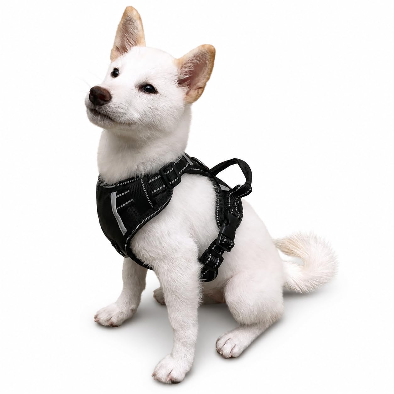 Arnés de Perro sin Tirar, Chaleco Reflectante para Mascotas con Mango y Clips de Correa Delantera y Trasera, fácil Control, Transpirable y Acolchado Suave para Perros medianos Negros, M