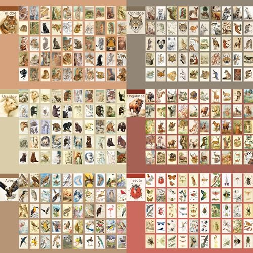 Image of 12 Sets 600 Sheets Washi Stickers Book for Journaling, Jungle Animal Sticker, Wild Zoo Sea Animal Aesthetic Scrapbook Dinosaur Sticker Set for Bullet Journal Card Craft Gift Rewards for Kid Notebook