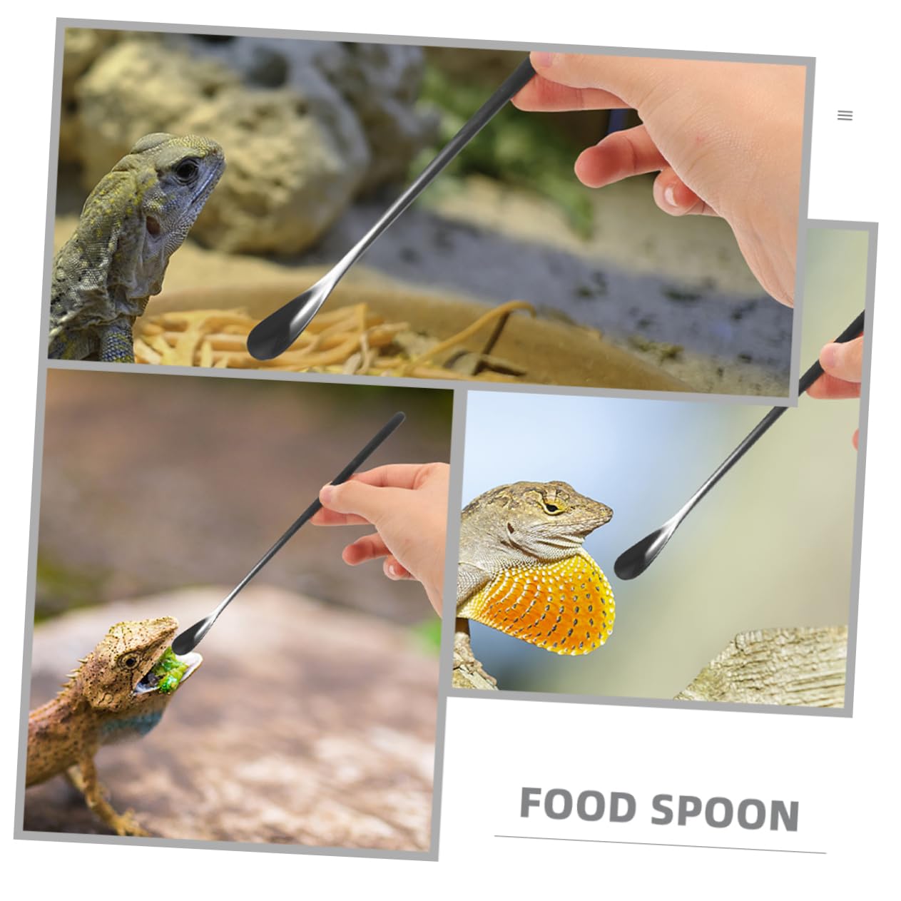 爬虫類・両生類のエサ S40 SM30 F10 SANKO】三晃商会WEBページ